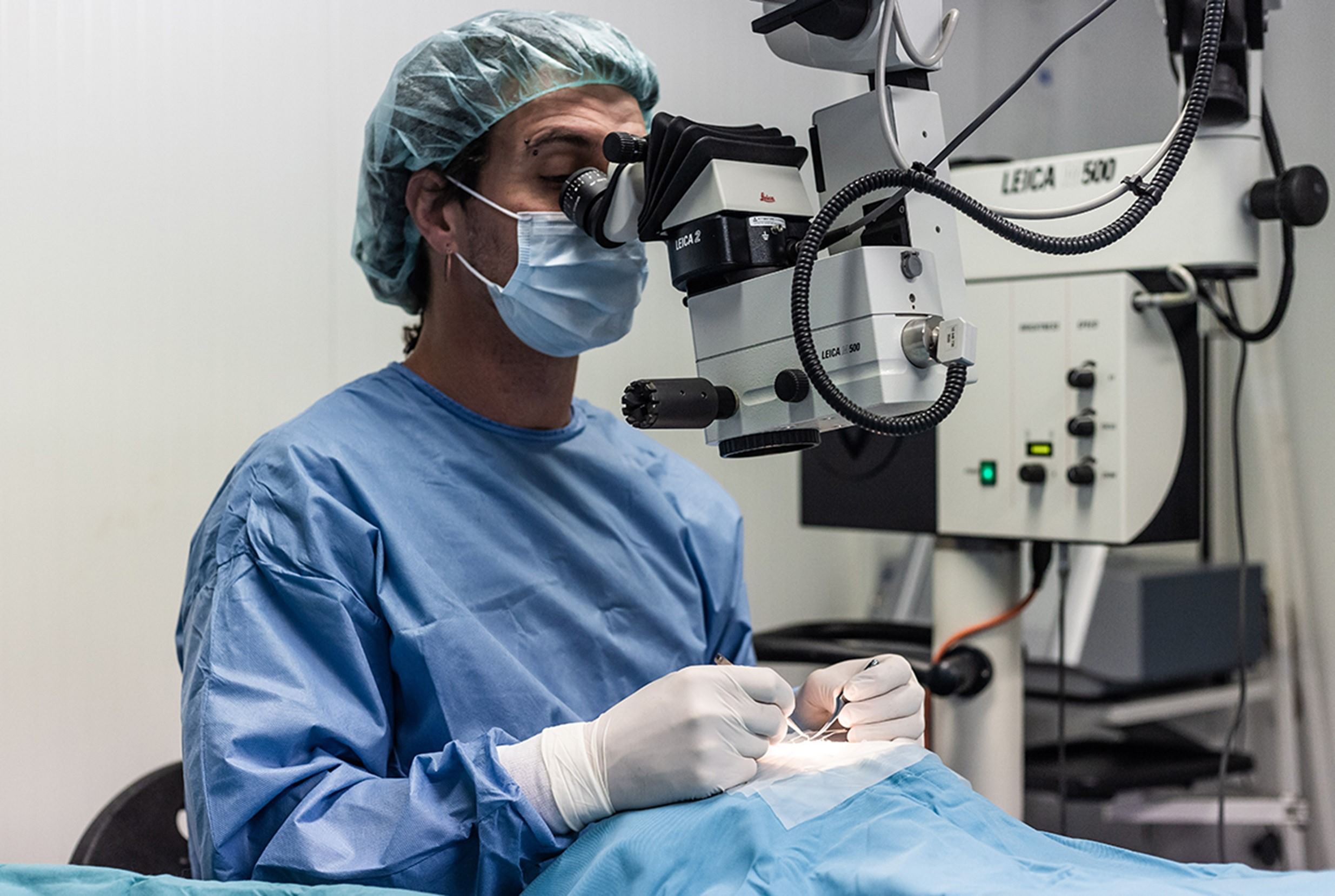 oftanimalia-servicios-cirugia-intraocular