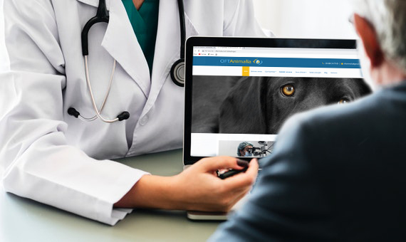 consulta-oftalmologica-veterinaria